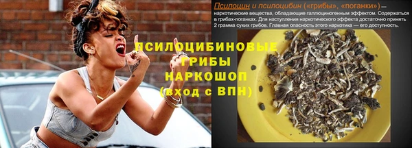 винт Алексеевка