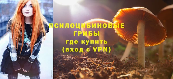 винт Алексеевка