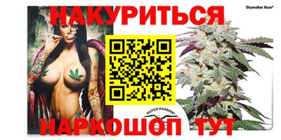 СК Пенза