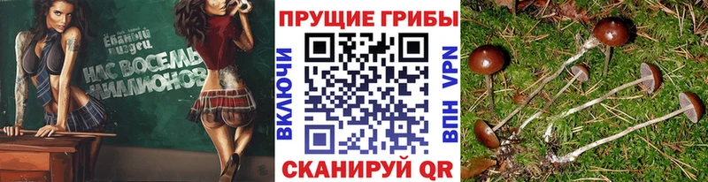 Галлюциногенные грибы Magic Shrooms  Нижний Новгород 