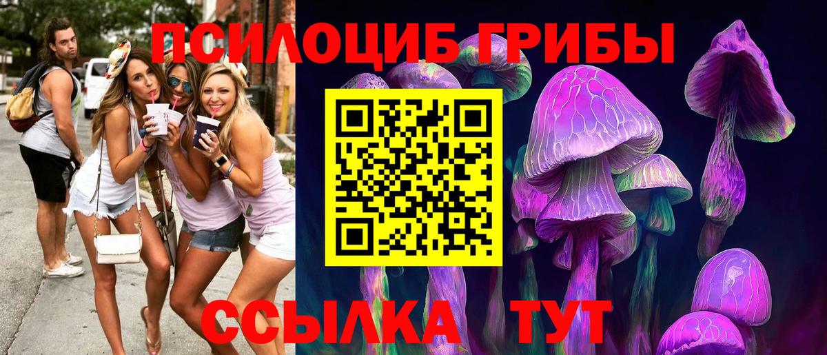 Псилоцибиновые грибы Psilocybine cubensis Нижний Новгород