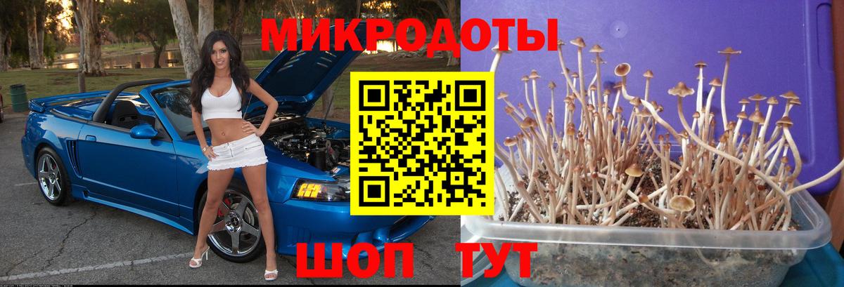 Нижний Новгород  Псилоцибиновые грибы GOLDEN TEACHER  Вход с VPN  Псилоцибиновые грибы Psilocybine cubensis 
